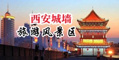 熟女的骚屄中国陕西-西安城墙旅游风景区
